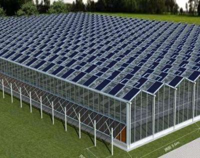 China Use Long Life Transparent Solar Panels For Greenhouses for sale