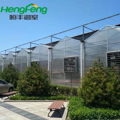 China Pipeline for commerical agriculture use Polycarbonate greenhouse, multispan structure outside cover with 8mm PC for sale