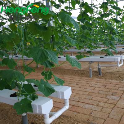 China Long Service Use Life Hydroponic Multi Span Greenhouse Structure for sale