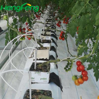 China Beautiful Polycarbonate Outdoor Hydroponic Systems Long Lifespan And Green House For Tomato for sale