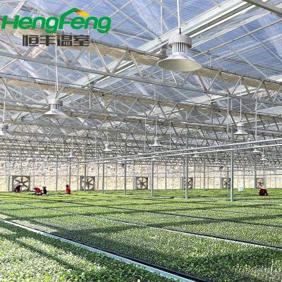 China Long Use Life Greenhouse for sale