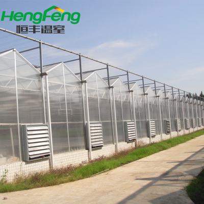 China Pipeline for agriculture use policarbonate greenhouse multispan greenhouse outside cover with policarbonate for sale