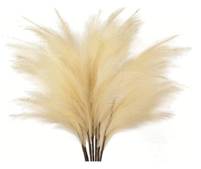 China Wedding 97cm Length 12 Branches Artificial Flowers Tall Pampas Grass For Wedding Party Home Decor for sale