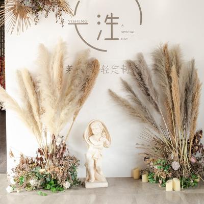 China Wedding pampas grass artificial dry flower arrangement for wedding decor for sale