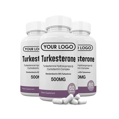 China Grow Muscle Wholesale Factory Private Label Ajuga Turkestanica Extract Powder Top Grade Turkesterone Capsule for sale