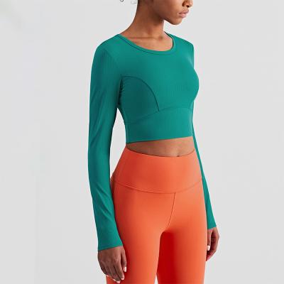 Cina Cima lunga del raccolto di yoga della manica di forma fisica attiva di allungamento di Rib Striped Ladies Yoga Tops in vendita