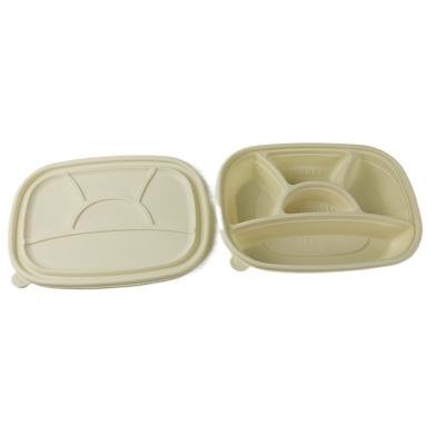 China Disposable Safe 3 4 Microwave Food Containers Cornstarch 5 Compartments Plastic Bento Lunch Box for sale