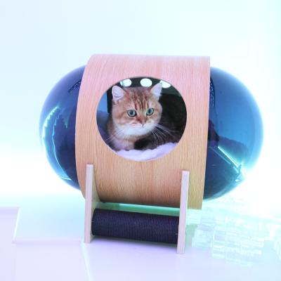 China Warmer gemütlicher Hund Cat Space Capsule Bed 60*40cm mit klarer Acrylhaube zu verkaufen