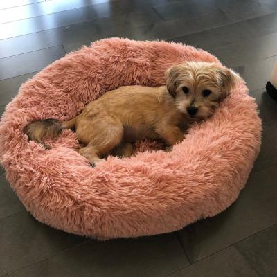 Chine Chien rose pelucheux d'inquiétude de Brown l'anti enfoncent le beignet apaisant Cat Bed de lit de chien de lit de matelas de chien de diamètre de 50cm 60cm 70cm à vendre