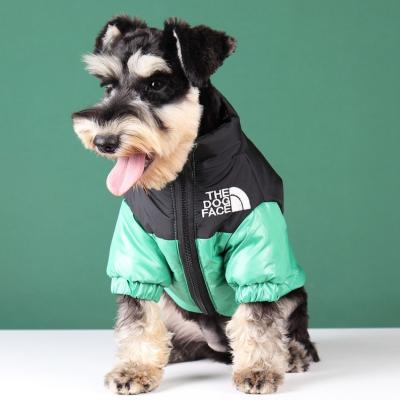 China Impermeabilice perro del barro amasado del caniche de la chaqueta del invierno de la cara del perro el pequeño abajo de la chaqueta en venta