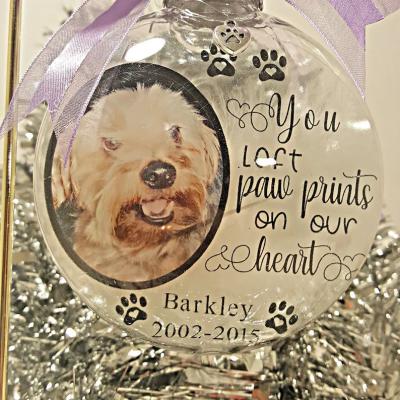 China PVC Plastic Keepsake Pet Memorial Ornament Shatterproof 3.9 Inch for sale