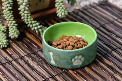 China Functional Ceramic Ergonomic Cat Food Bowl Lead Free 200ml Hand Formed Ceramic Dog Bowls for sale