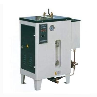 China VERTICAL electric heating mini small 3kw steam generator for sale for sale