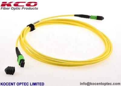 China 8cores 12cores 24cores MPO MTP Optic Fiber Patch Cord SM 9/125 Single Mode LSZH Type A / B / C for sale