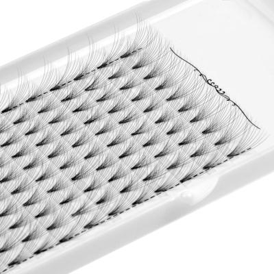 China 0.05 0.07 0.1 Russian Eyelash Extensions Natural Soft Lashes 3D 4D 5D 6D 7D 8d Premade Premade Volume Custom Packs for sale