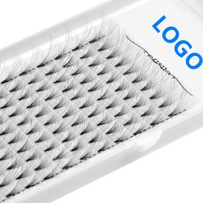 China Durable Private Label Fans 3D 4D 5D 6D 7D 8D 10D 20D Factory Premade Lash Eyelash Extension 0.05 0.07 0.10 Volume for sale