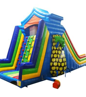 China Mobile Festival Cliff Climb Camp Sporting Inflatable Rock Slide For Kids Amusement Parks for sale