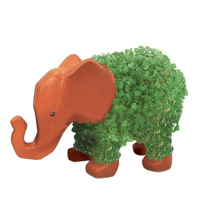 China American Sheep Chia Decorative Pottery Planter Style Elephant Chia Seeds Included - plant and raise sheep fur - funny for sale