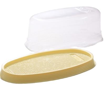 China Recycled Plastic Materials Taiwan Cheesecake Container With Clear Lid for sale