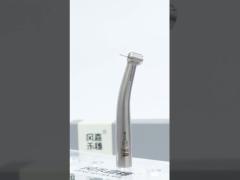 SUS304 Silver High Speed Dental Handpiece Standard Head 3 Points Spray