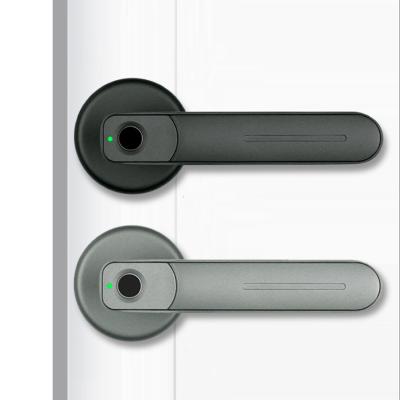 China Bedroom Apartments Office Indoor Office Biometric Fingerprint Locks Door Handle Bedroom Smart Adjustable Door Lock for sale