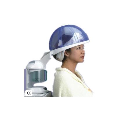 China Professional factory o3 DEEP CLEANING supplier 2 in 1 salon hair and facial steamer for salon and home use for sale