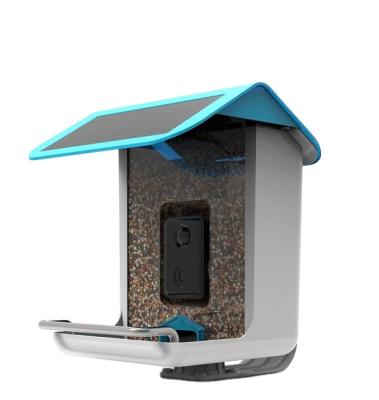 China Low Power Garden Wildlife Camera Outdoor Bird Feeder Camera AI Identify Bird Species Smart Bird Feeder With Camera for sale