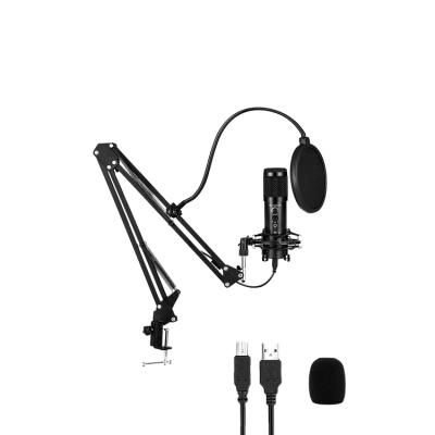 China Hot Selling Professional Aluminum Alloy Factory Supply Microphone Stand Firm Microphone With Stand for sale