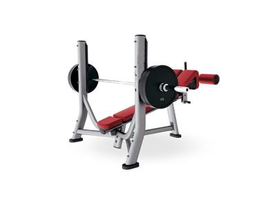 China Body Fitness Gym Rack And Adjustable Decline Weight Bench Press Machine for sale