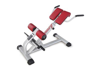 China Pro Commercial Gym Rack And Exercise Equipment Back Extension Bench for sale