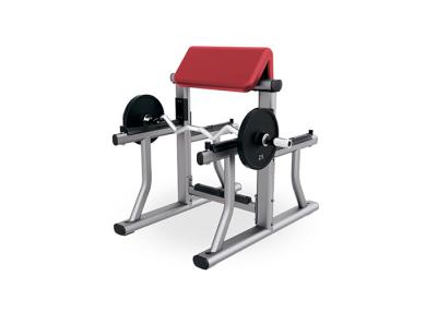 China Small Gym Rack And Bench Home Workout Fitness Biceps Arm Curl Equipment for sale