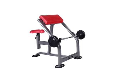 China Commercial Gym Rack And Seated Sports Weight Scott Fitness Biceps Bench for sale