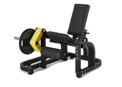 China Plate Loaded Gym Fitness Equipment / Hammer Extension Machine For Leg for sale