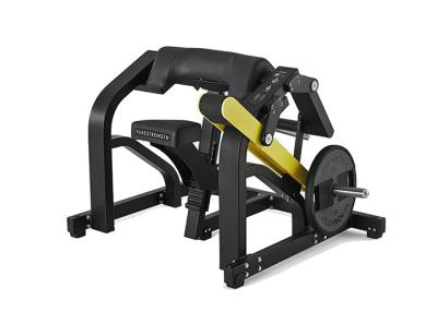 China Body Fitness Hammer Strength Plate Loaded Equipment / Biceps Curl Machine for sale