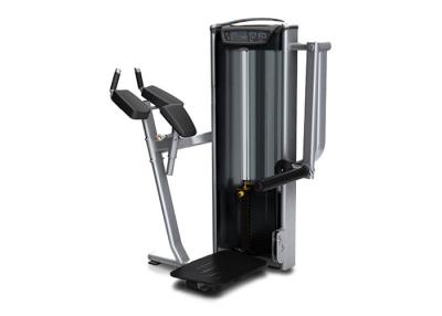 China Matrix Bodybuilding Gym Equipment / Hip Machine Color Custom Available for sale