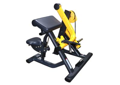 China 300kg Biceps Curl Hammer Strength Exercise Machine for sale