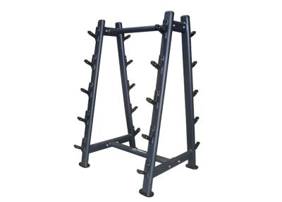 China Black Color Home Gym Equipment Ten Pcs Barbell Rack And Bench for sale