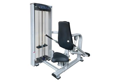 China Commercial Matrix Tricep Dip Machine , Indoor Gym Silver Workout Equipment for sale