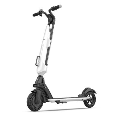 China 2021 Unisex Two Wheel Dockless Foldable Multifunctional Kick Electric Scooter for sale