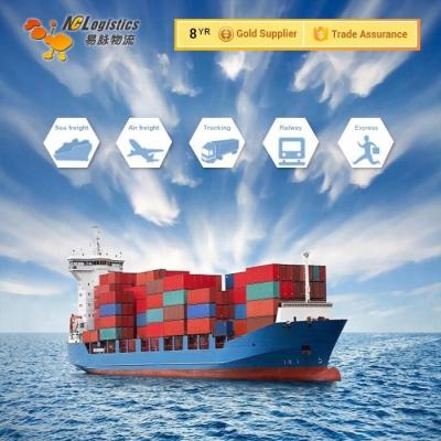 China Cargo Freight Forwarder Delivery Companies From China To Dubai NCL for sale