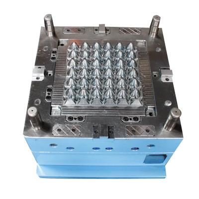 China High Quality Plastic Plastic Injection Mold for Custom Plastic Tray Box /container Mold with Cheap Price for sale