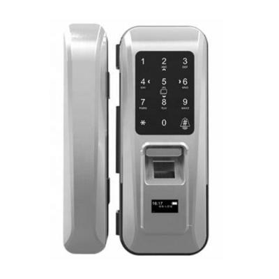 China Hotel Smart Glass Door Lock for Home Office Building Electronic Smart Door Lock Fingerprint Password Open Smart Lock Door for sale