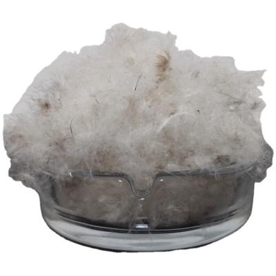 China High Cleanliness 80% High Quality Washed Gray White Duck Down And Feathering Fill Power For Home Textile for sale