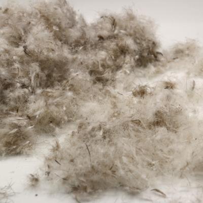 China Wholesale 80/20 Gray Duck Down Fp 650 High Filling Power Level Washed 80% Gray Duck Down 20% Duck Feather for sale