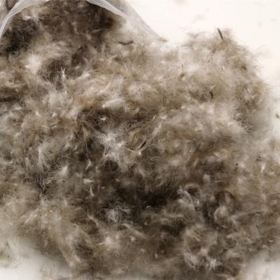 China High Power Filling Certificate RDS Cheapest And Cleanest High Quality 90% Washed Gray Duck Down And Feather for sale