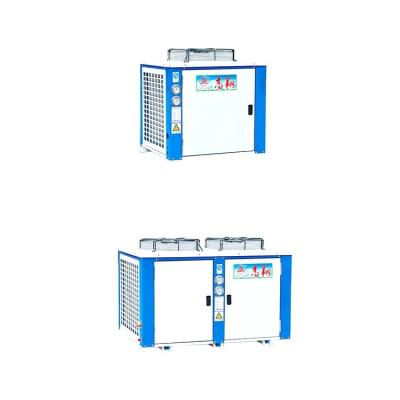 China New Cold Storage Room Freezer Room Condensing Unit/Cabinet Refrigerating Unit/Air Cooler Refrigerating Unit for sale