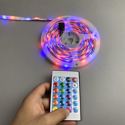 China ip65 2835smd rgb led strip light high quality waterproof remote multicolor flexible LANDSCAPE led strip light for sale