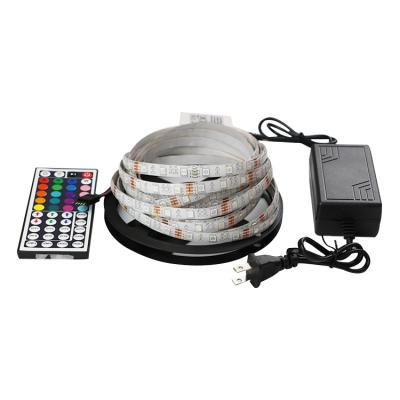 China LANDSCAPE high quality indoor led ceiling strip lights best color led flexible led strip light dc 12v 24v 5050 smd light with outdoor for sale