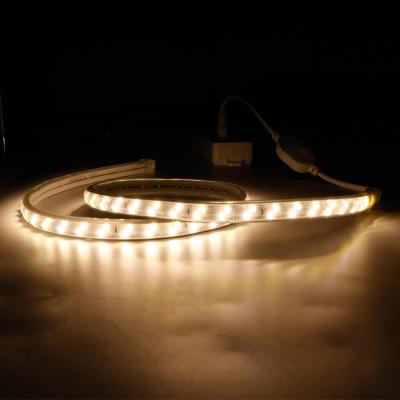 China Garden 2835 Double Row High Voltage Led Strip Lighting Decoration Led Flexible Flexible Strip Outdoor Led Strip For Tent for sale