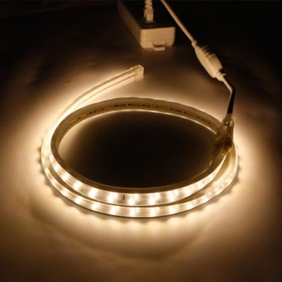 China Garden 120leds/m high voltage smd 2835 AC220v led strip flexible led strip dimmable double row led strip for sale